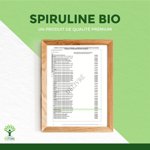 Organic Spirulina Powder - Packaged in France - Vegan Supplement Bioptimal infusion.organic