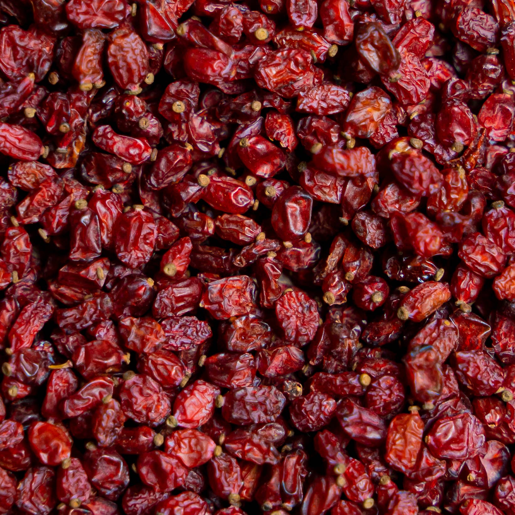 Organic barberry VRAC barberries Spice RAYA infusion.organic