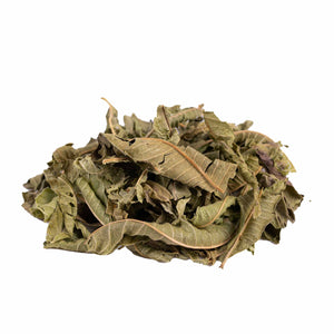 Verbena herbal Tea Infuzion infusion.organic