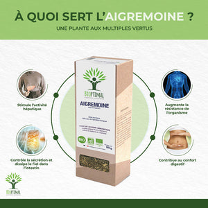 Aigremoine bio -  Bioptimal Bioptimal Infusion infusion.organic