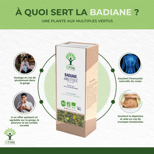 Badiane anis étoilé bio -  Bioptimal Bioptimal Infusion infusion.organic