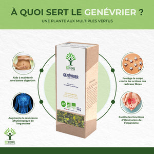 Genévrier bio -  Bioptimal Bioptimal Infusion infusion.organic