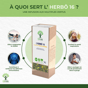 L'herbô 16 Tonus hivernal -  Bioptimal Bioptimal Infusion infusion.organic