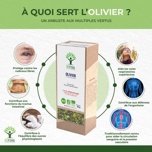 Olivier bio -  Bioptimal Bioptimal Infusion infusion.organic