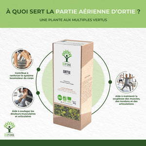 Ortie piquante bio - Bioptimal Bioptimal Infusion infusion.organic