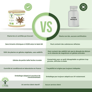 Harpagophytum bio gélules - Bioptimal Bioptimal Complément alimentaire infusion.organic