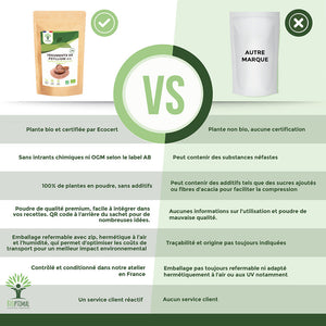 Téguments de Psyllium bio -  Bioptimal Bioptimal Superaliment infusion.organic