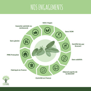 Sauge bio gélules -  Bioptimal Bioptimal Complément alimentaire infusion.organic