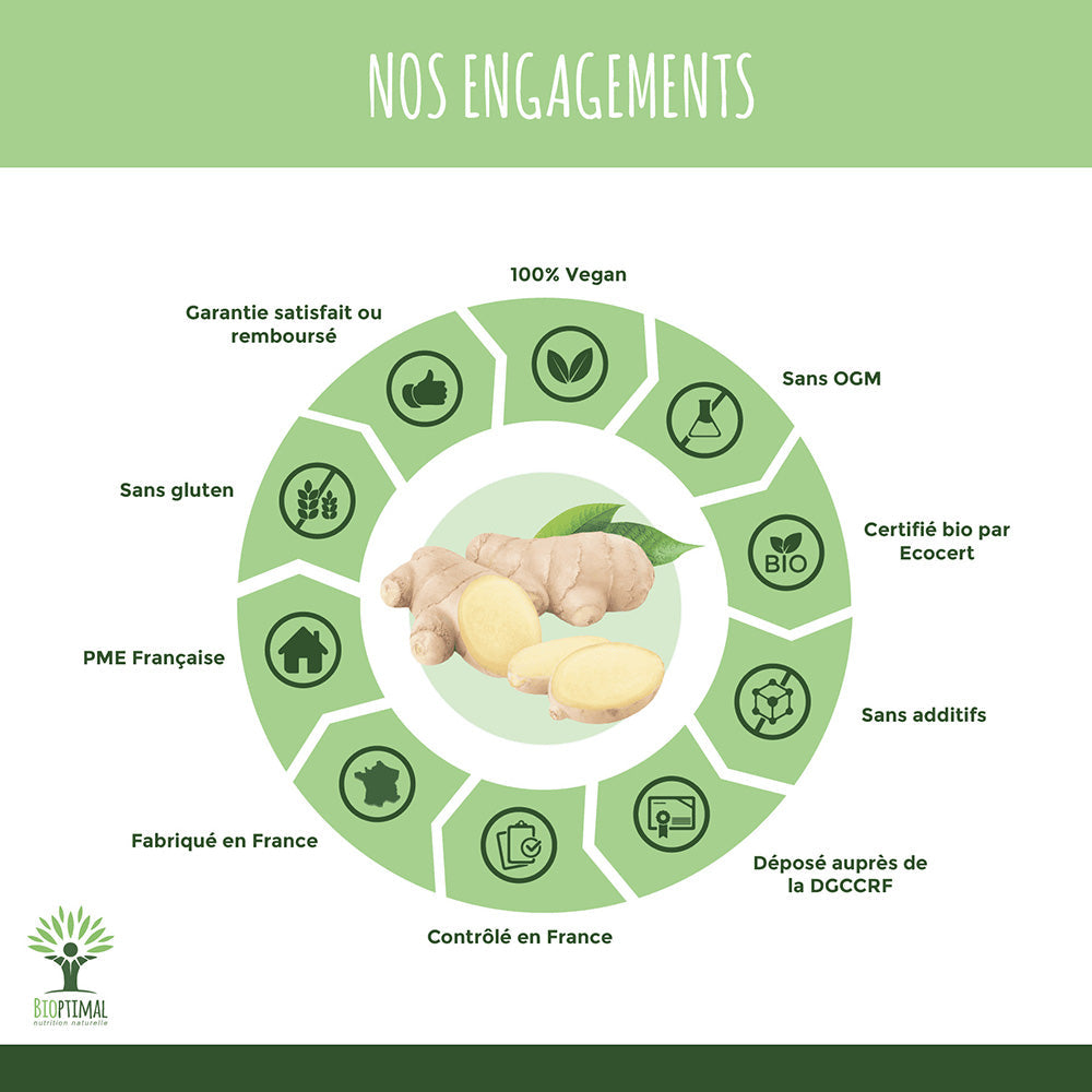 Gingembre bio gélules - Bioptimal Bioptimal Complément alimentaire infusion.organic