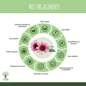 Hiver Tranquille bio gélules -  Bioptimal Bioptimal Complément alimentaire infusion.organic