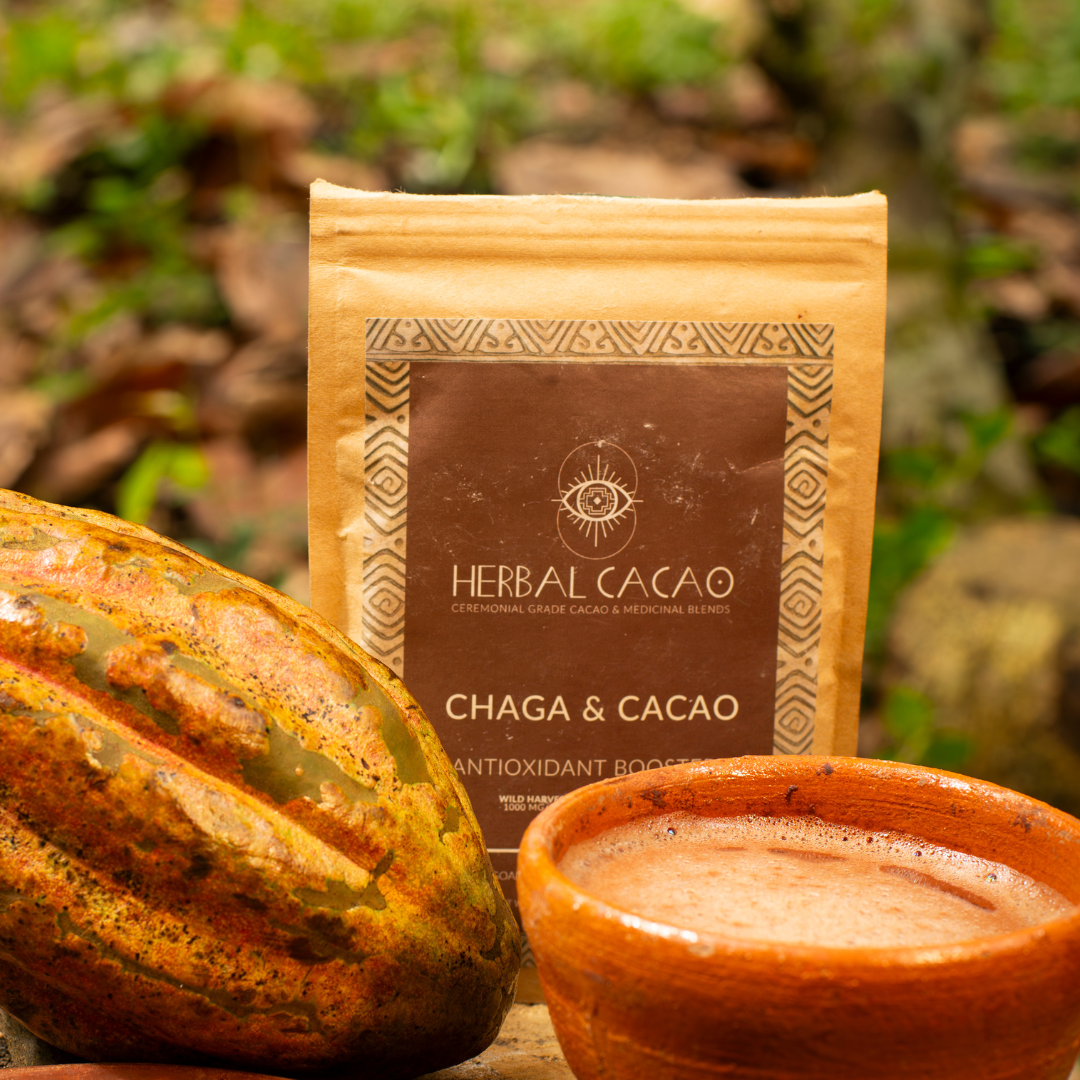 “IMMUNE SUPPORT” | 500gram | Ceremonial Cacao & Chaga