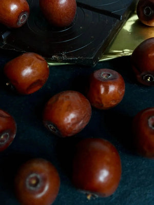 Anab or Jujube from Tajikistan - Dried Fruits - Dried Fruits, Superfoods - infusion.organic