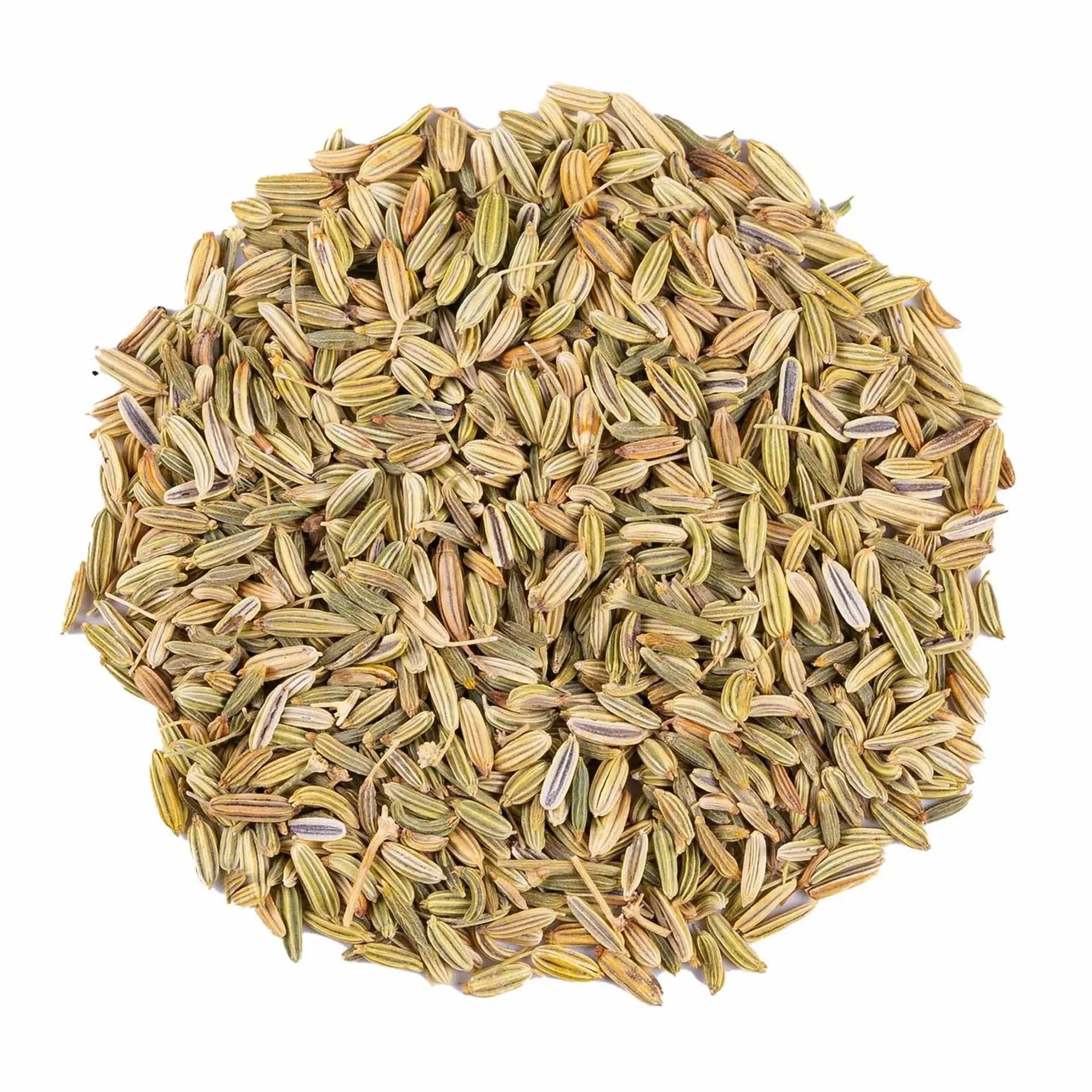 Fennel Herbal Tea Infuzion Tisan - infusion.organic