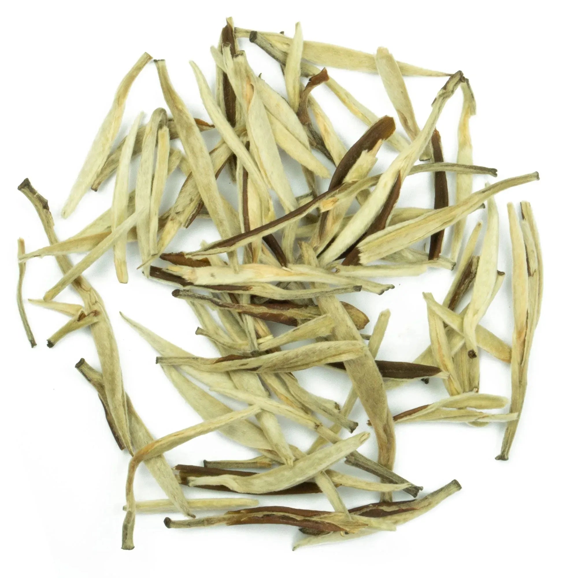 Jasmin Silverneedle White tea Infuzion Tisan - infusion.organic