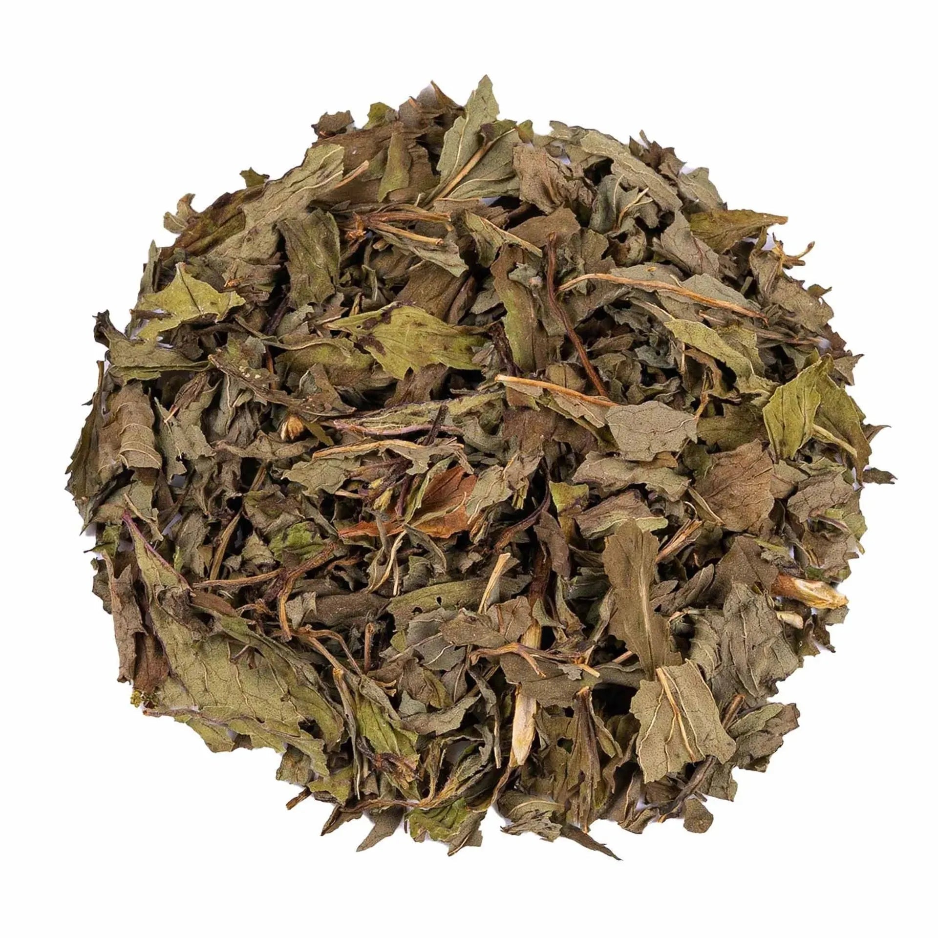 Peppermint Herbal Tea Infuzion Tisan - infusion.organic