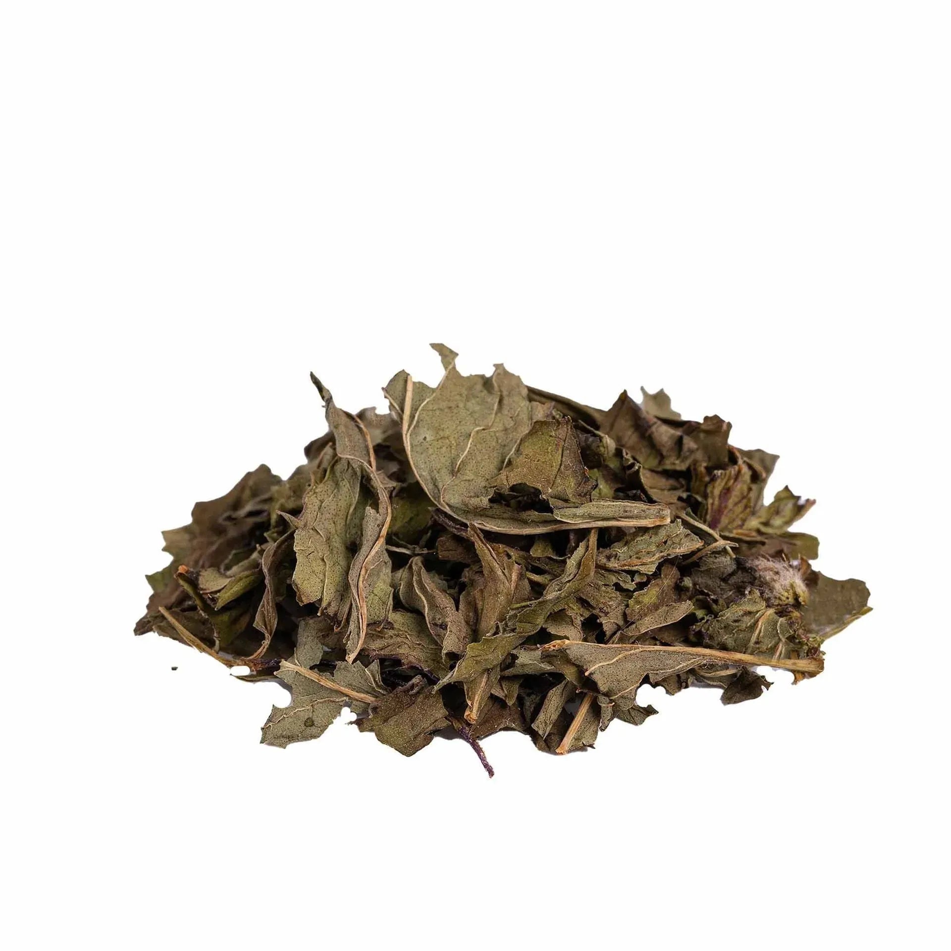 Peppermint Herbal Tea Infuzion Tisan - infusion.organic