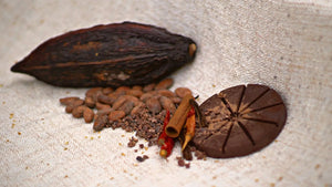 "Signature Blend" Ceremonial Cacao & Traditional Maya Spices Herbal Cacao Tisan - infusion.organic